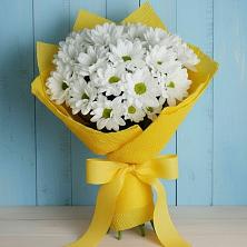 Букет цветов из:  Хризантемы в Волосово