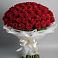 Букет 101 Красная роза Блэк Мэджик в Волосово