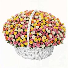 Премиум букет из: Розы в Волосово