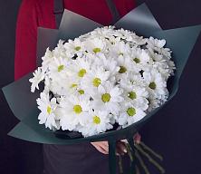 Букет цветов из:  Хризантемы #REPLACE_PRED# Волосово