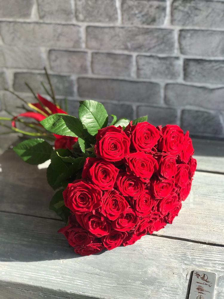 Букет Красные розы Фридом в Волосово