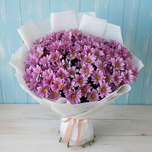 Букет цветов из:  Хризантемы в Волосово