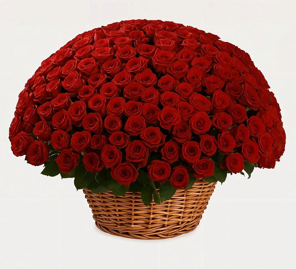 Премиум букет из: Розы в Волосово