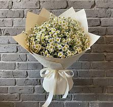 Букет цветов из:  Ромашки #REPLACE_PRED# Волосово