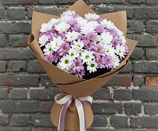 Букет цветов из:  Хризантемы #REPLACE_PRED# Волосово