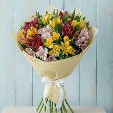 Букет цветов из:  Альстромерии в Волосово