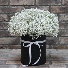 Цветочная композиция из Гипсофила в шляпной коробке #REPLACE_PRED# Волосово