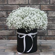 Цветочная композиция из Гипсофила в шляпной коробке в Волосово