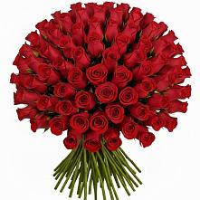 Букет Красные розы Чери Лав в Волосово