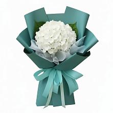 Букет цветов из:  Гортензия в Волосово
